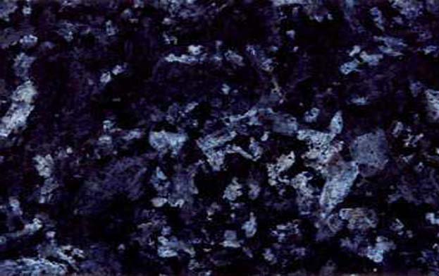 Labrador Bleu